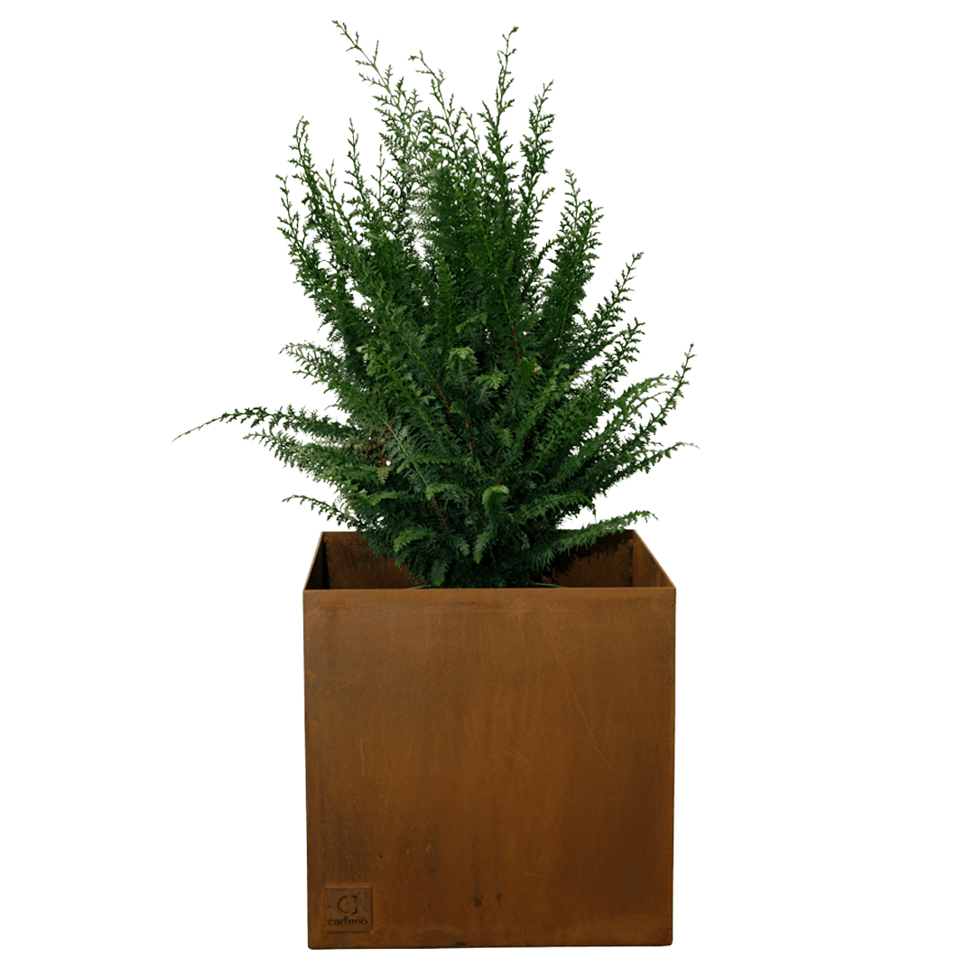 Jardinière carrée Minimaliste - Atelier Cortena