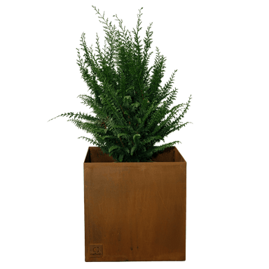 Jardinière carrée Minimaliste - Atelier Cortena