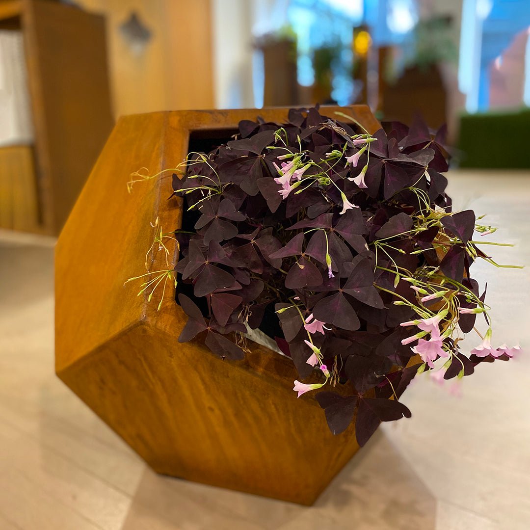 Jardinière Hexago - Atelier Cortena