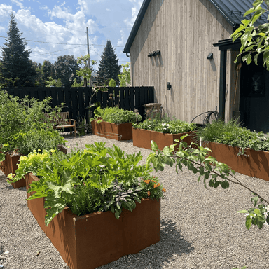Lit de jardin surélevé rectangulaire minimaliste - Atelier Cortena