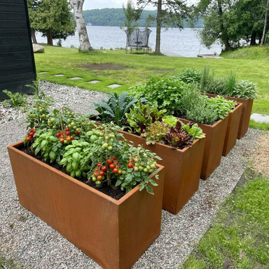 Lit de jardin surélevé rectangulaire minimaliste - Atelier Cortena