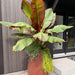 Pot Geo - Atelier Cortena