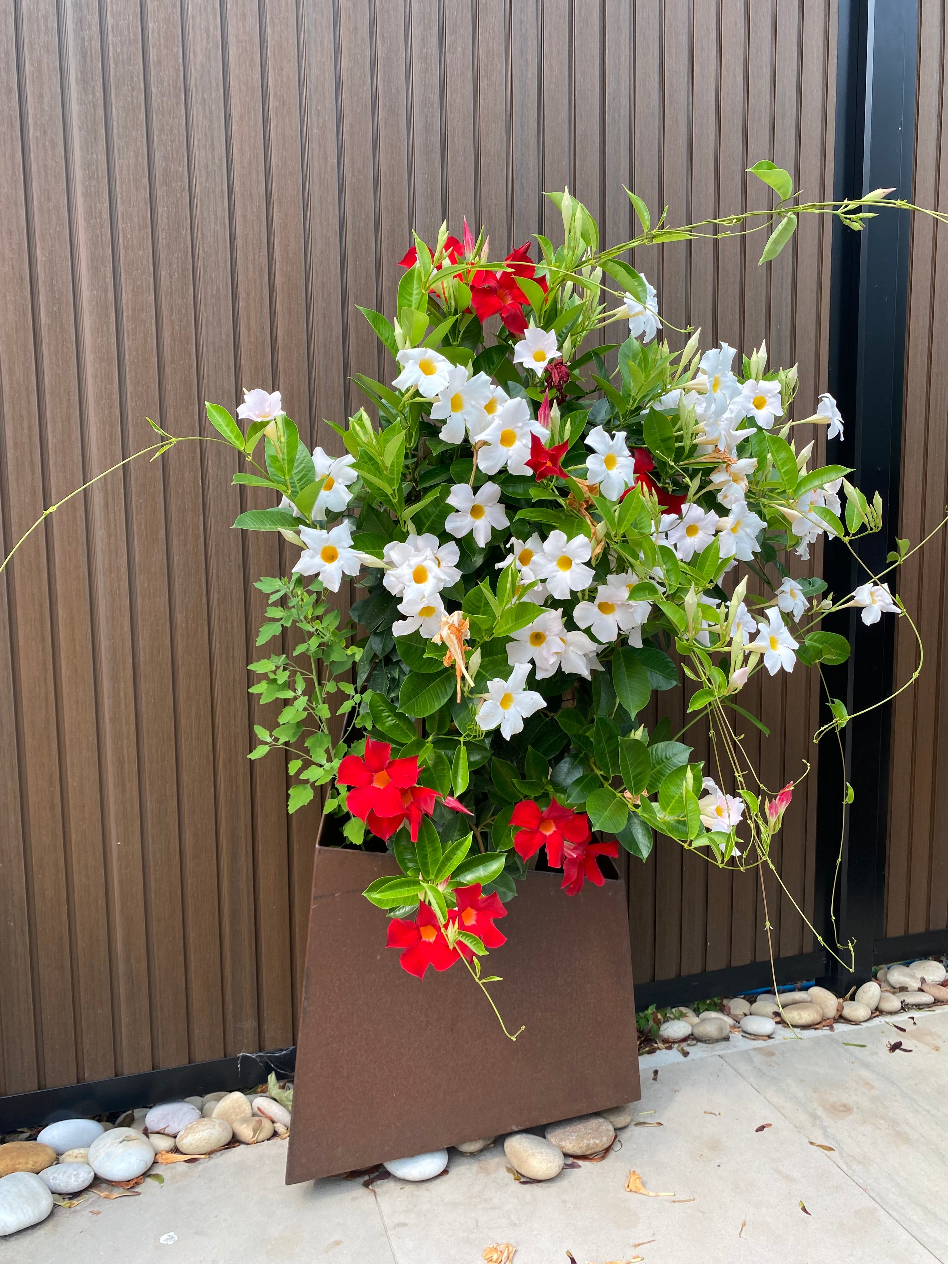 Pot Tres - 50% Vente d'été ! - Atelier Cortena